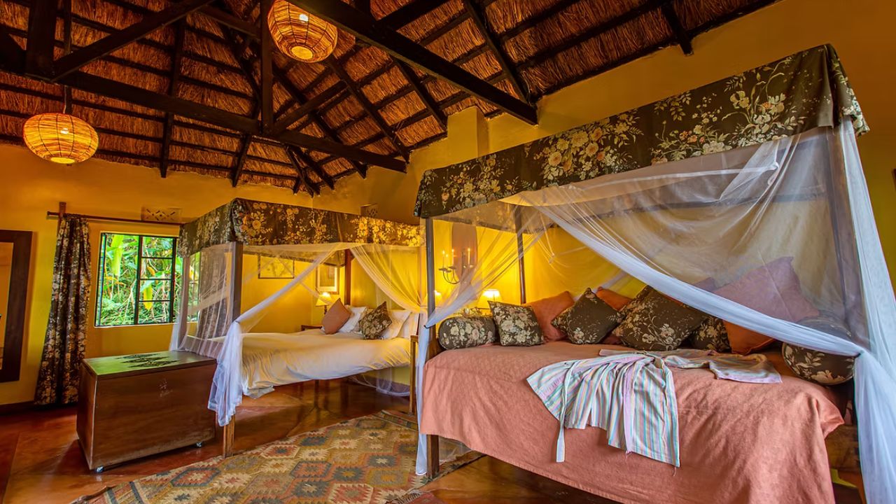 Spacious guest room at Ndali Lodge with two double beds and soft lighting.