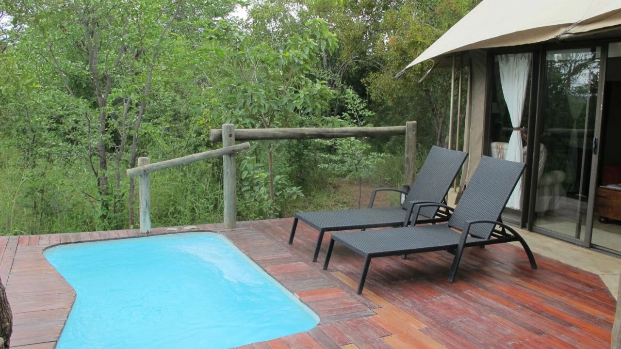 Guest suite with private plunge pool at Wild Horizons Elephant Camp, Zimbabwe.