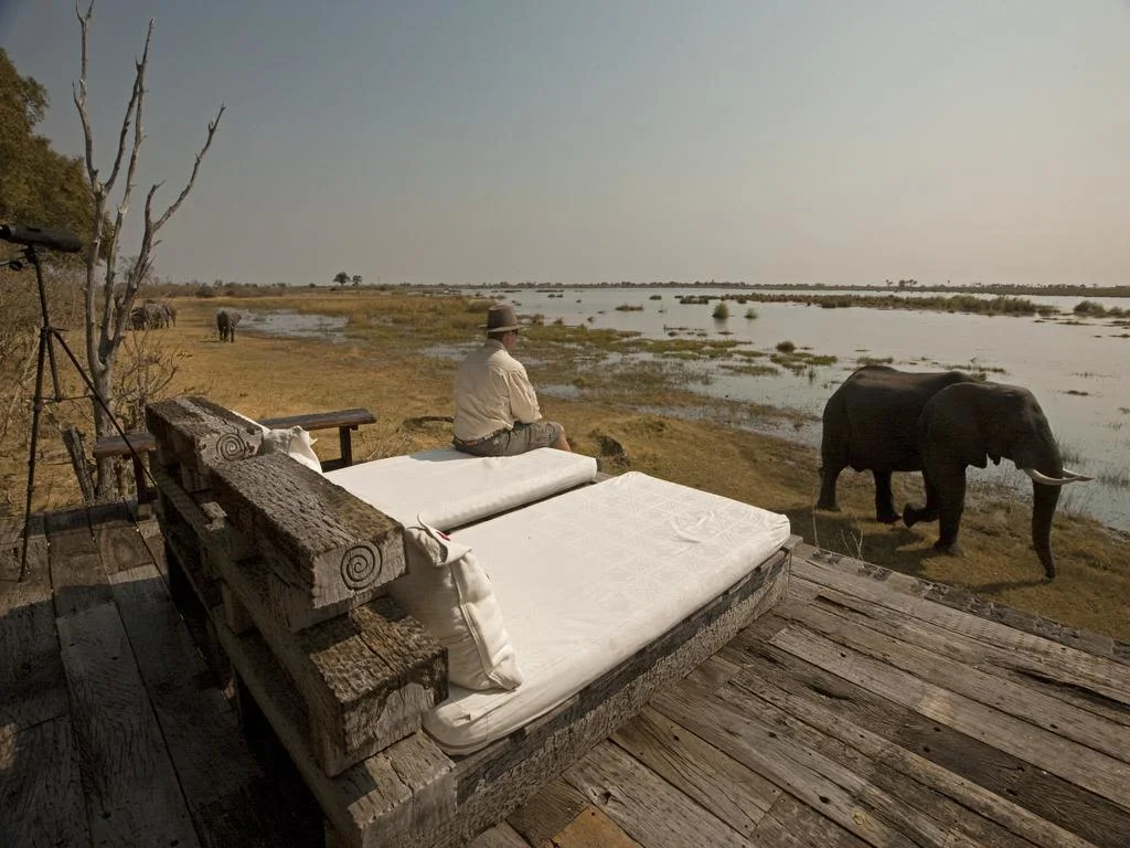 Guest sitting on deck watching elephant pass by his lodge in the Okavango Delta, Botswana.