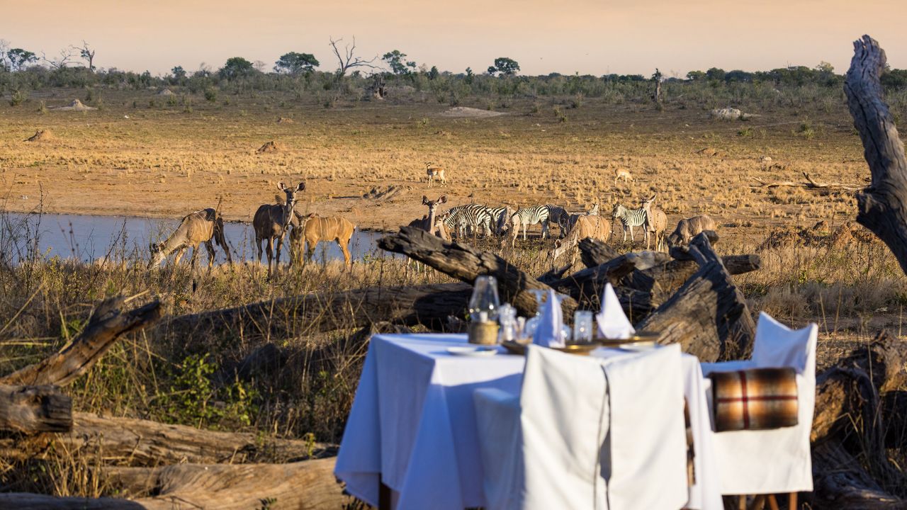 Deck dining overlooking waterhole with wildlife, Verneys Camp Hwange