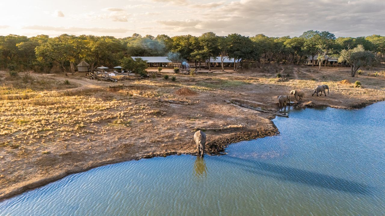 Elephant at waterhole near Verneys Camp tents, Hwange National Park Zimbabwe