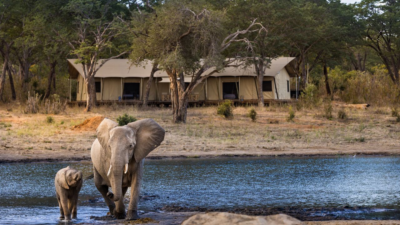 Elephants at waterhole near Verneys Camp tented suites, Hwange