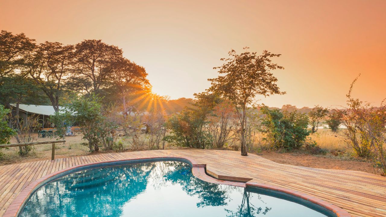 Sunset over trees with swimming pool in foreground, Verny’s Camp