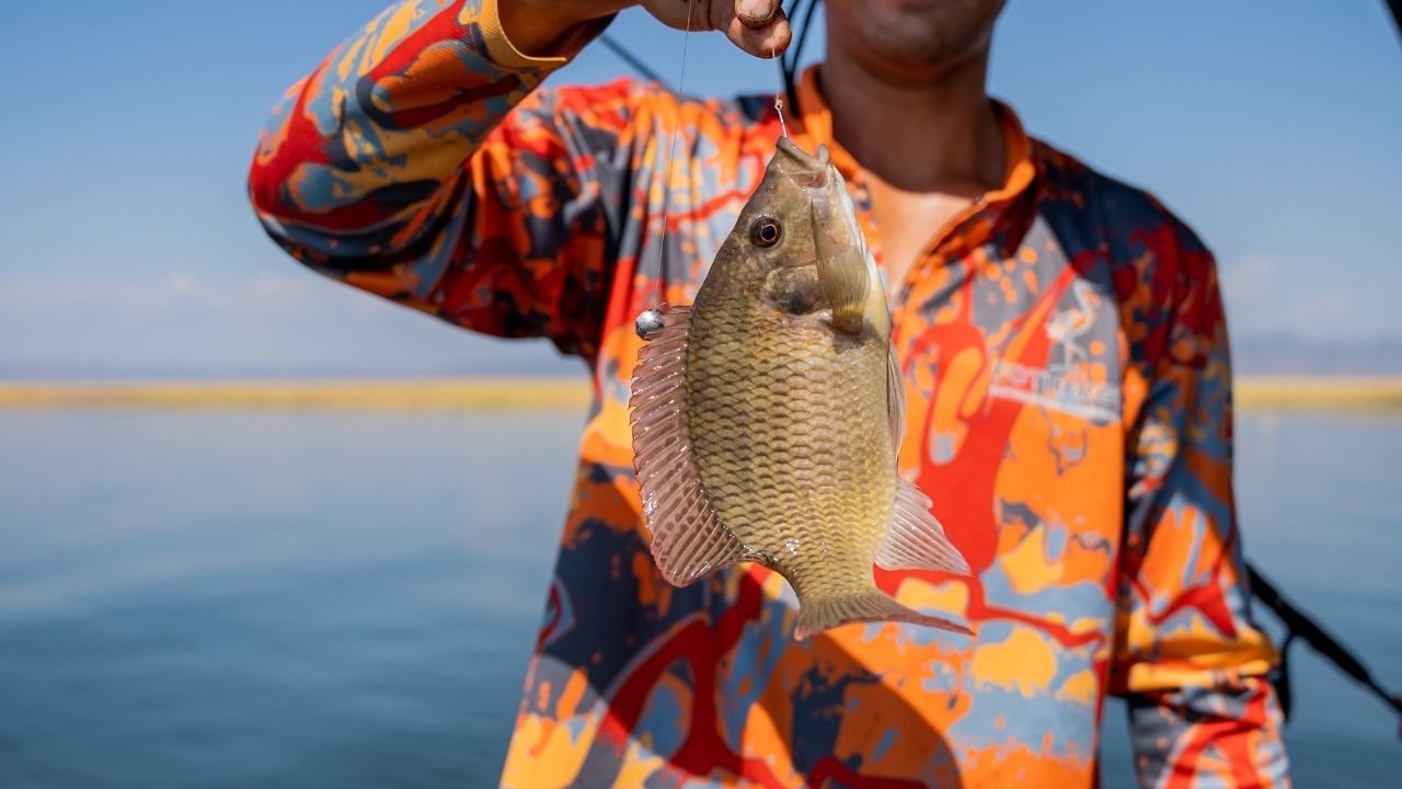 Safari guide showing fish caught in Lake Kariba, Zimbabwe