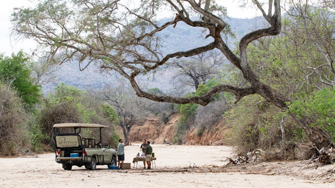 Safari guide setting up drinks in dry riverbed with vehicle and guests