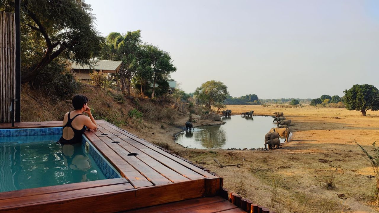 Guests at private plunge pool watching animals at watering hole, Mana Pools