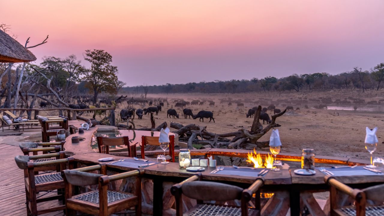 Sunset dining at Khulu Bush Lodge with wildlife grazing in background