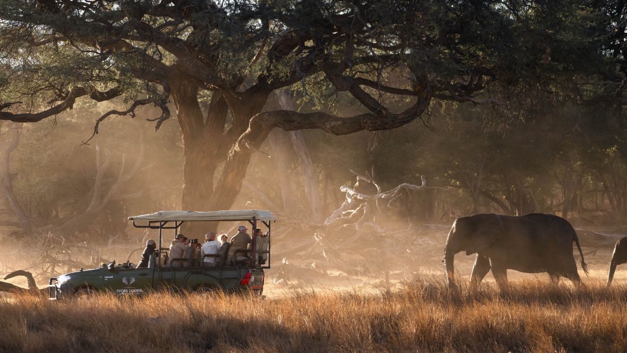 Elephant walking past game vehicle Zimbabwe bush