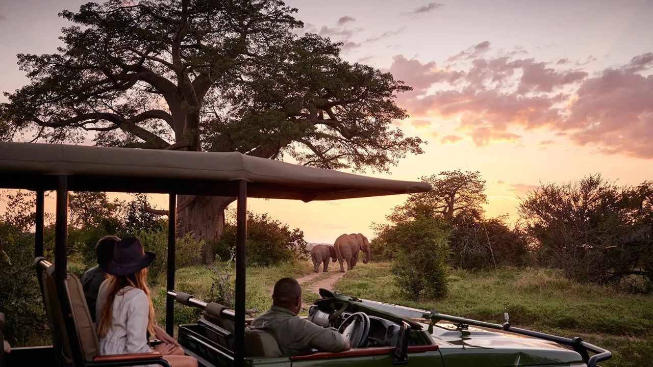 Safari guide in vehicle showing elephants at sunset near Victoria Falls Zimbabwe