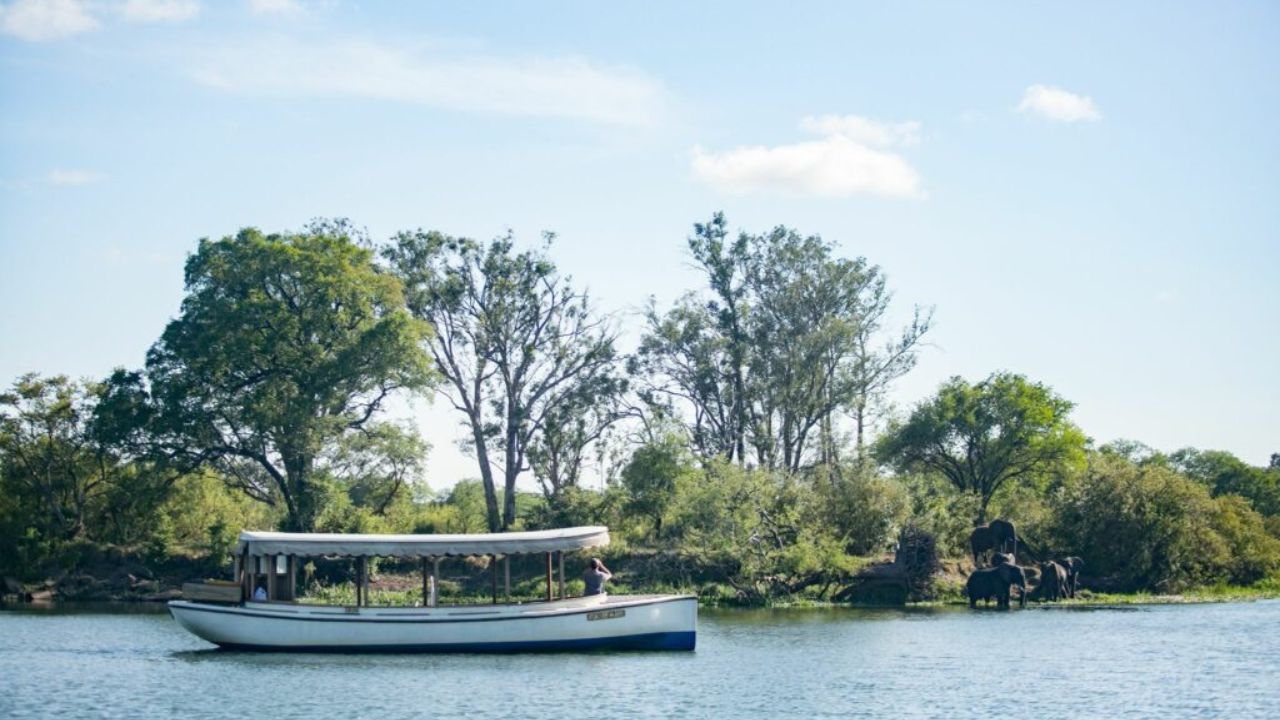 Zambezi River cruise wildlife viewing Victoria Falls