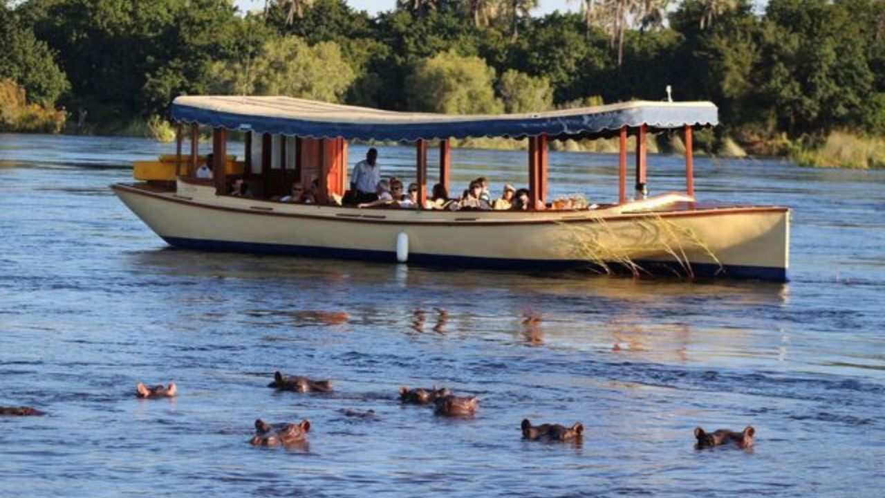 Zambezi River cruise boat passing herd of hippos