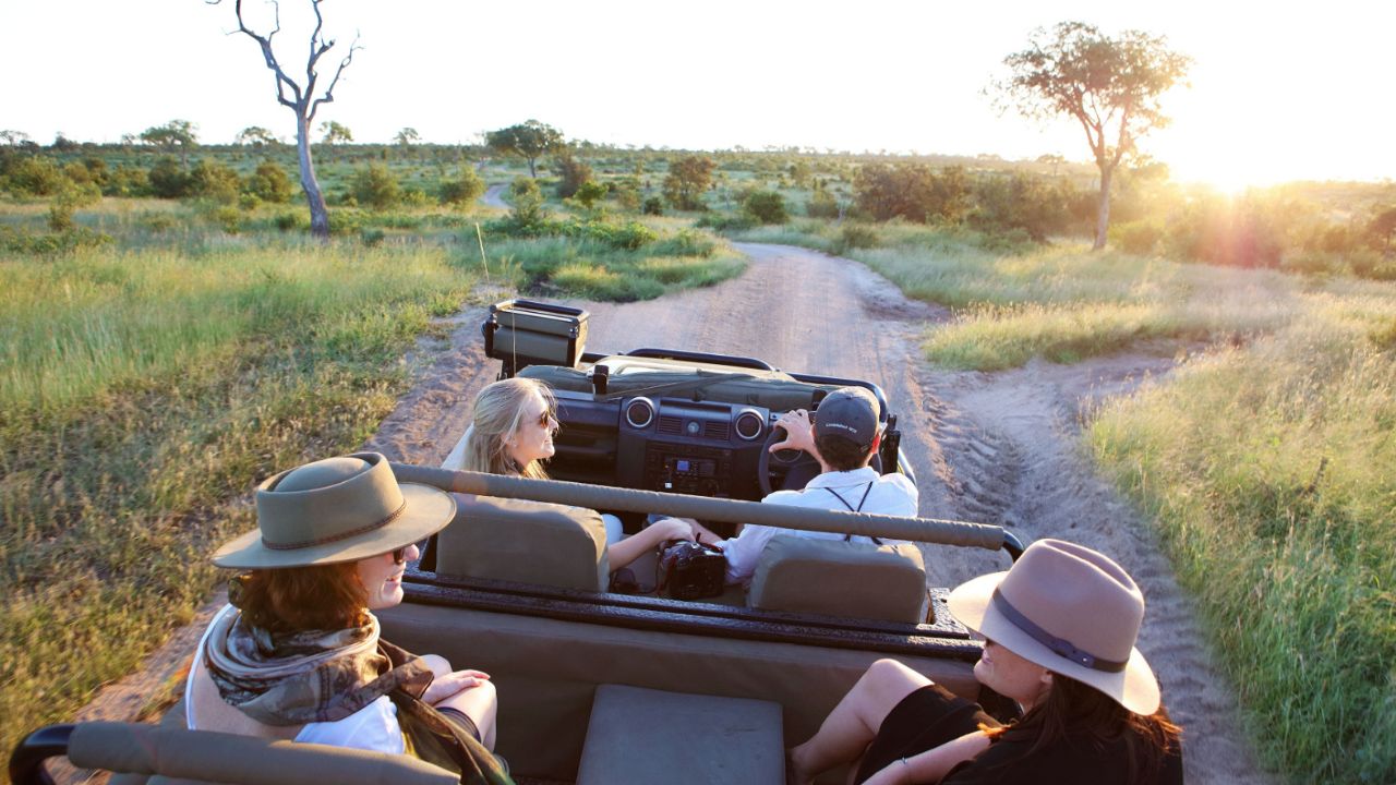 View from back of safari vehicle on game drive at Londolozi Sabi Sand, South Africa.