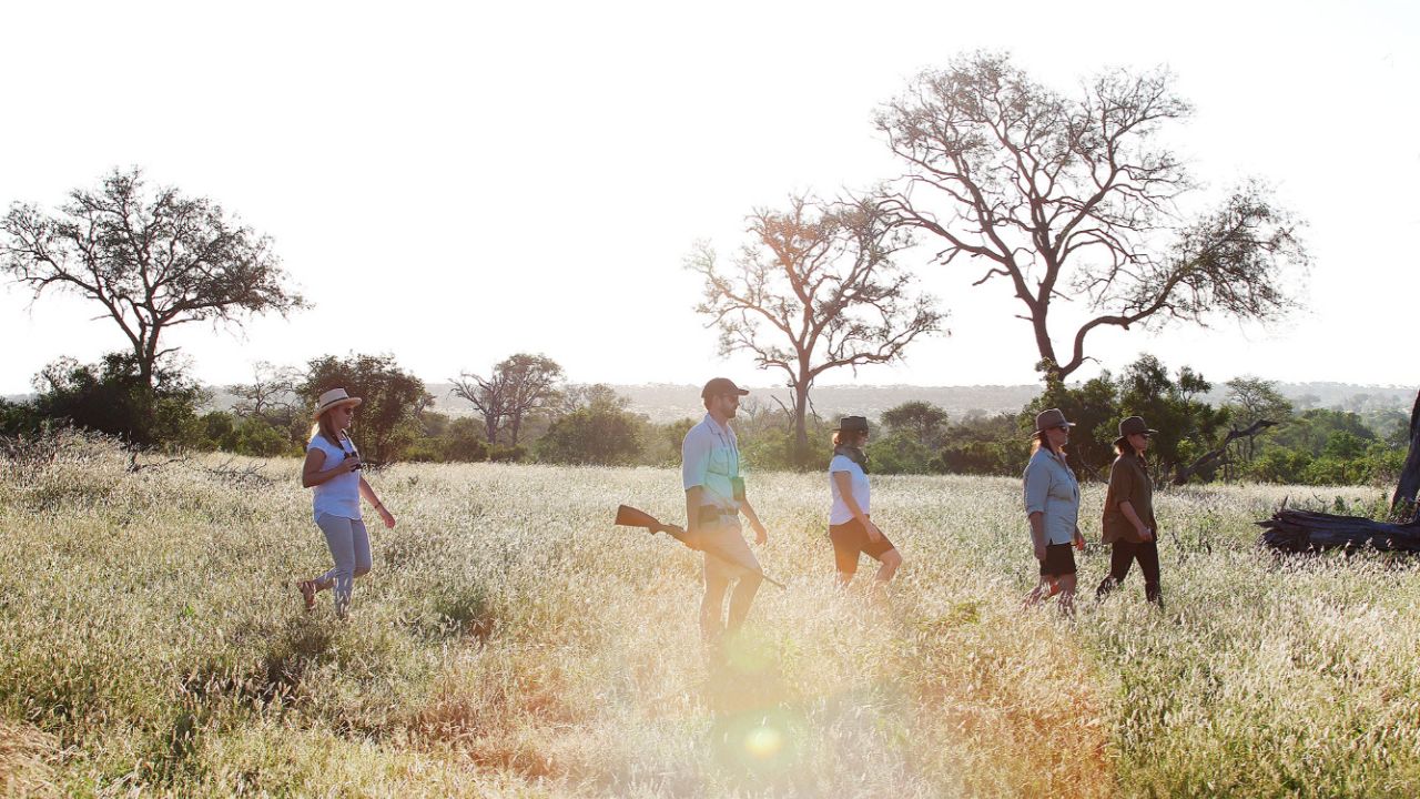 Sunlight filters as guests walk with armed ranger on Londolozi walking safari.