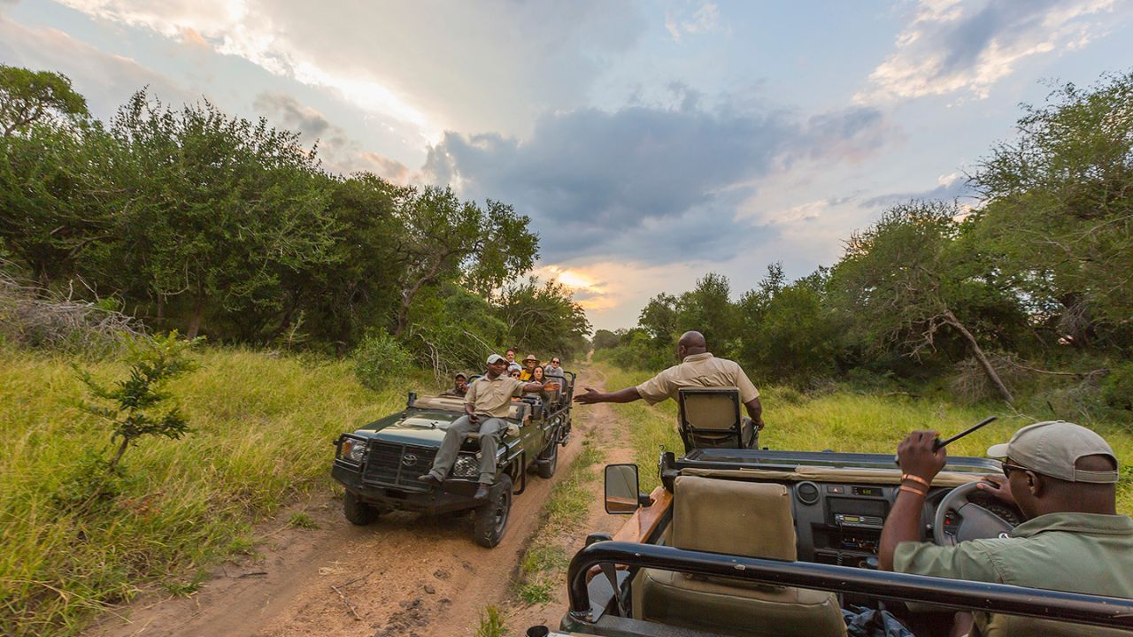 Safari rangers high-fiving between vehicles at Thornybush.