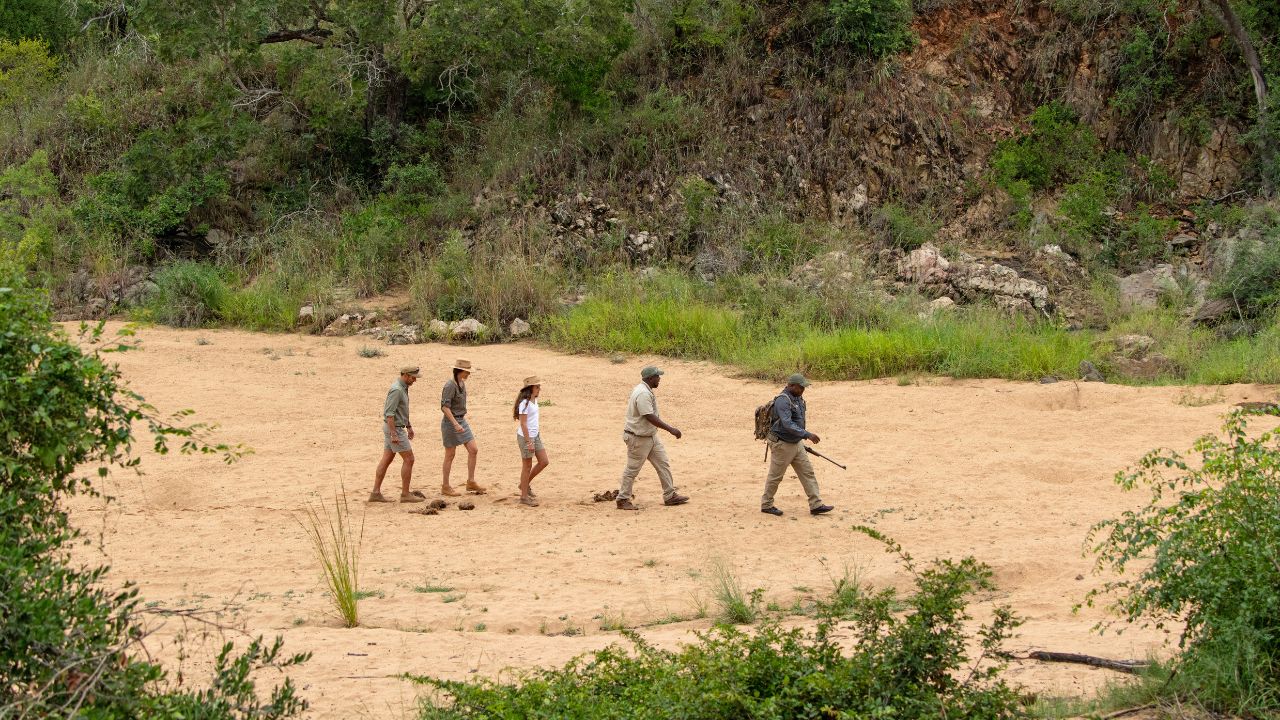 Family walking safari with armed guides at Thornybush.