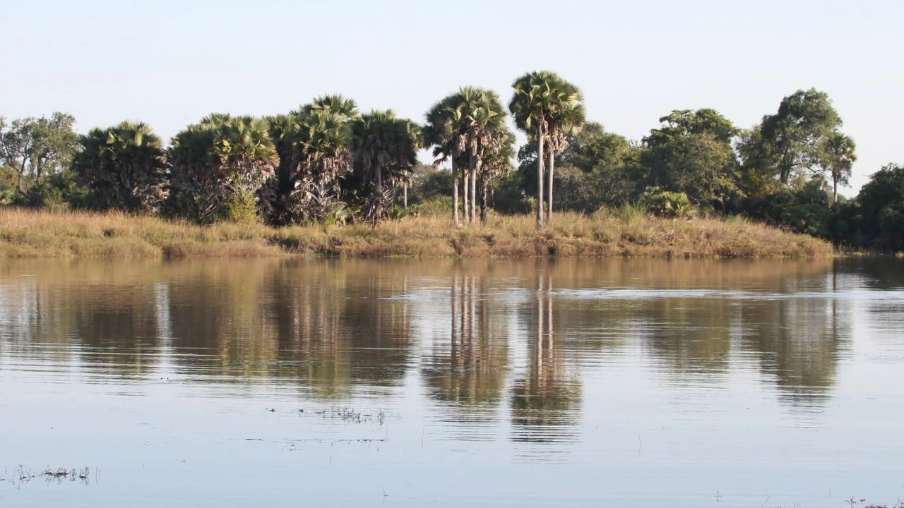 Ugalla Camp, Ugalla, Tanzania, overlooking still water pools and bush with reflections of trees.