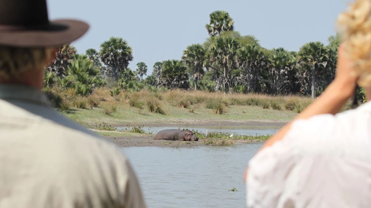 Two guests on a walking safari observing a hippo in Tanzania.