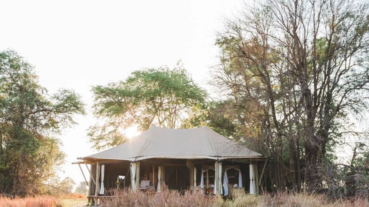 Front view of tented accommodation at Musekese Camp with bush and sunrise over trees in the background.