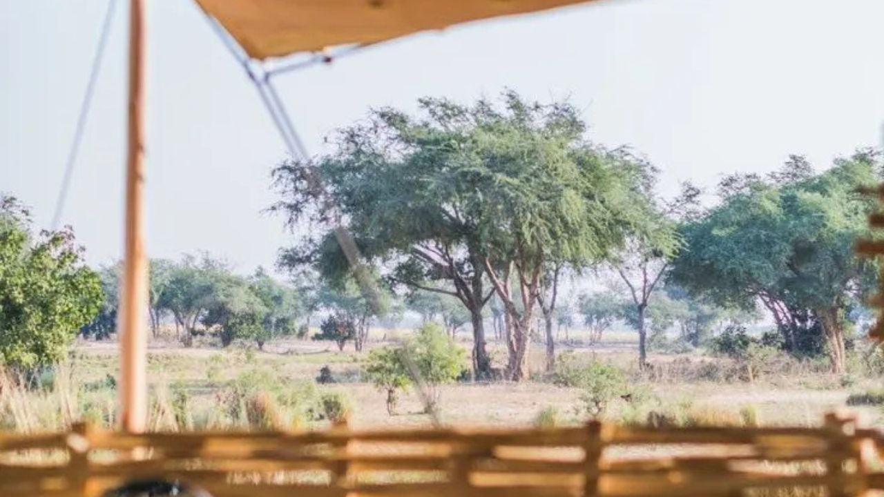 Typical outside view of Chula Island Camp tented accommodation with Zambian bush in background.