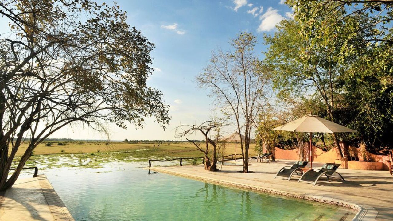 Main guest swimming pool with overflowing views of surrounding bush