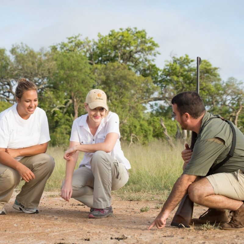 Guide explaining animal tracks to guests on walking safari Africa.