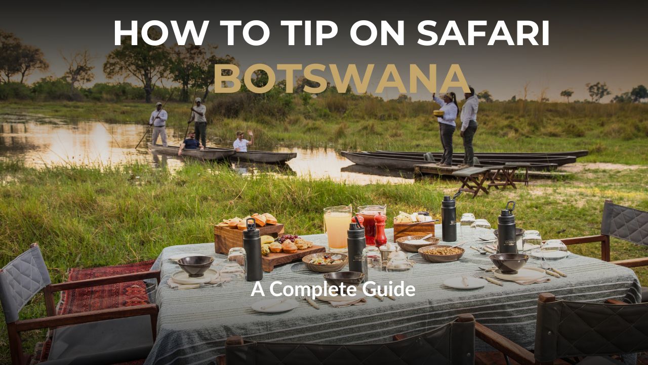 Image of guest arriving on Canoe Safari with dinner ready, How to tip on Botswana Safari