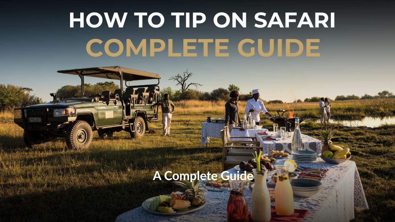 Image of Safari vehicle with guests having lunch and words promoting a guide on how to tip on an African Safari