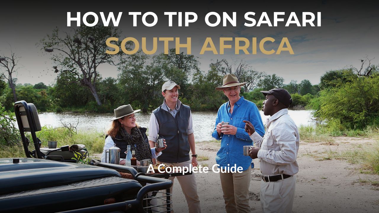 Game ranger with guests at lunch stop - Words saying How To Tip On A South African Safari