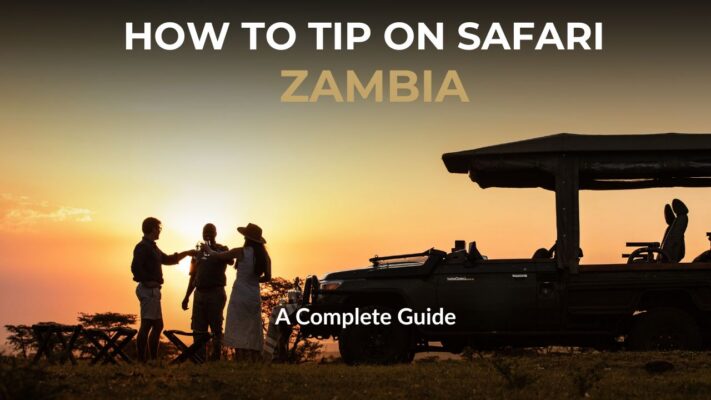 Silhouette of Safari vehicle and two guest with guide. - Words saying How To Tip On Zambian Safari