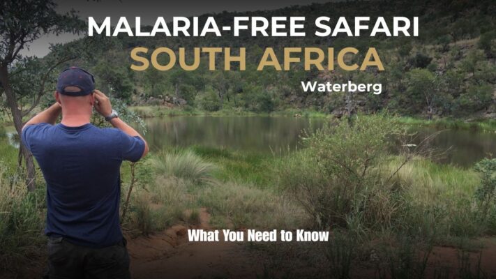 Image of man in bush looking through binoculars Malaria Free Safaris In South Africa - Waterberg