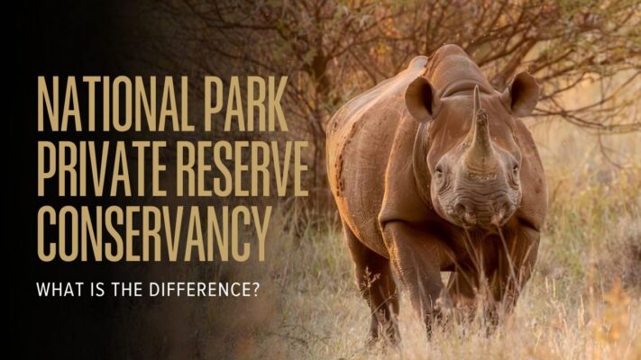 Image of Rhino with words National Parks, Private Game Reserves, and Conservancies - Whats the difference?