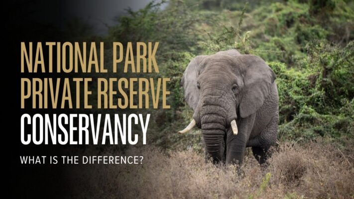 Huge elephant in bush with a banner explaining what a conservancy is.