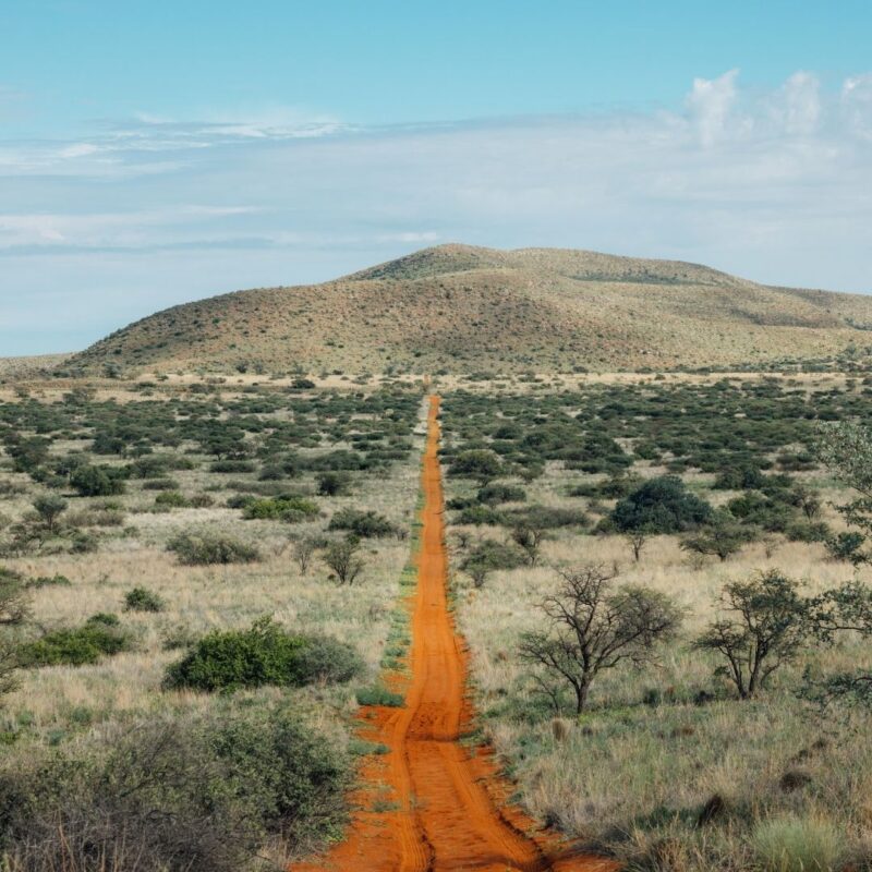 Sandy safari road through Tswalu Kalahari wilderness South Africa.