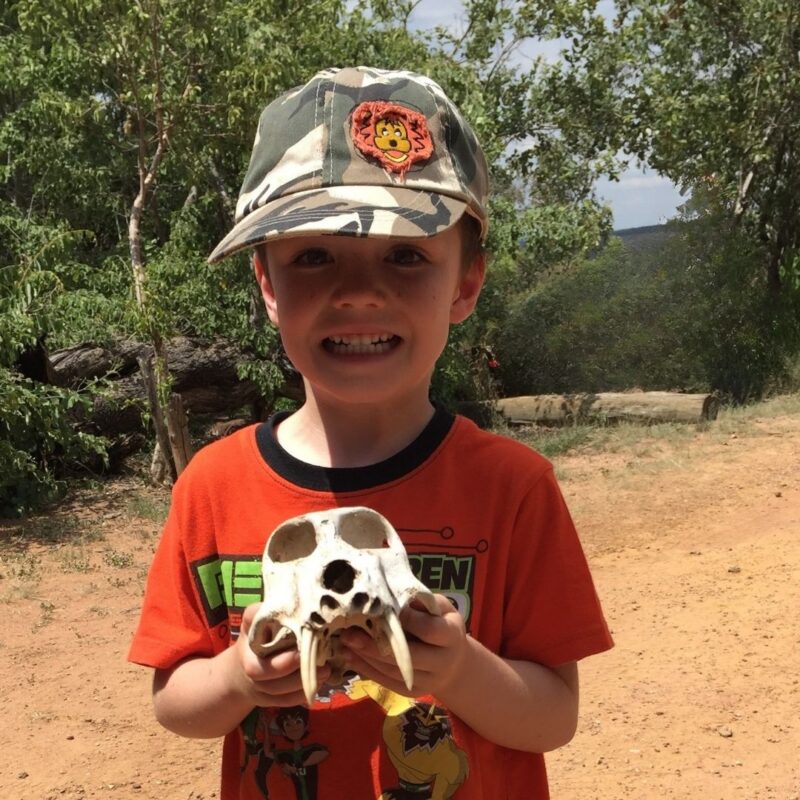 Child holding baboon skull at Welgevonden Game Reserve.