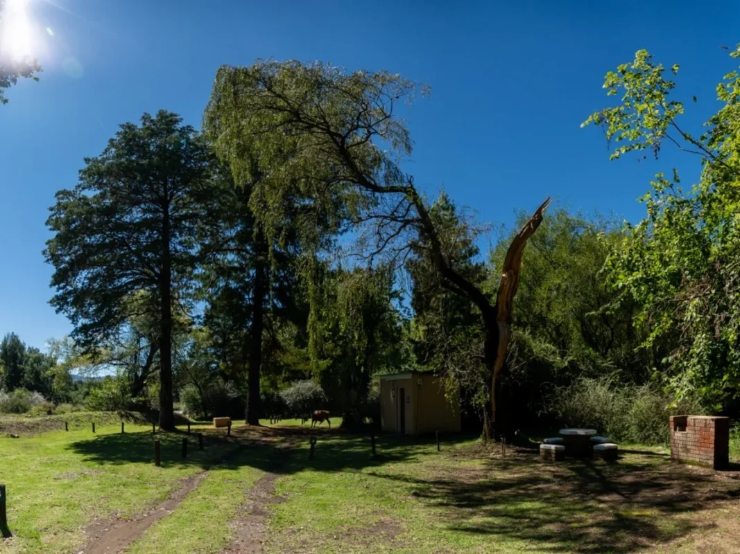 Picnic area and horses at Gooderson Drakensberg Gardens Resort.