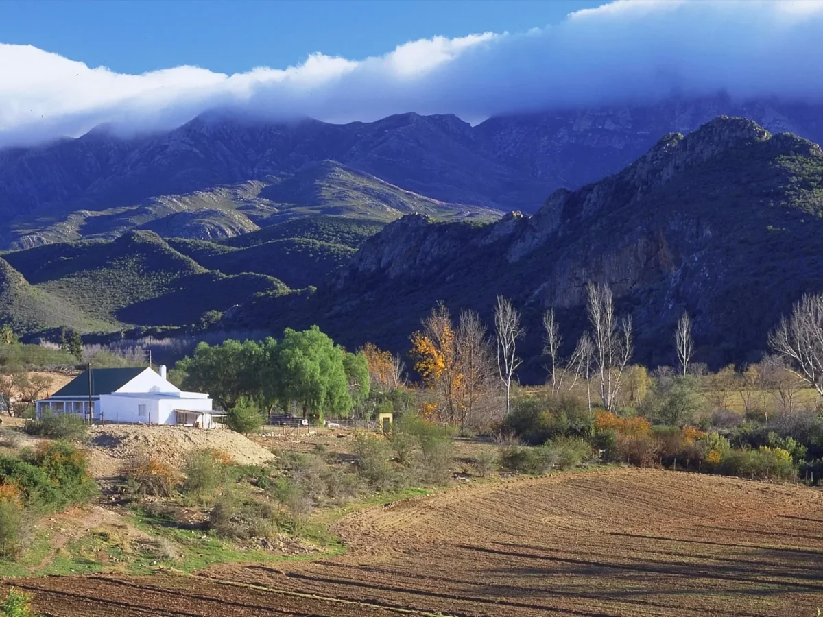 Mountain scenery and farmland surrounding Oudtshoorn, South Africa.