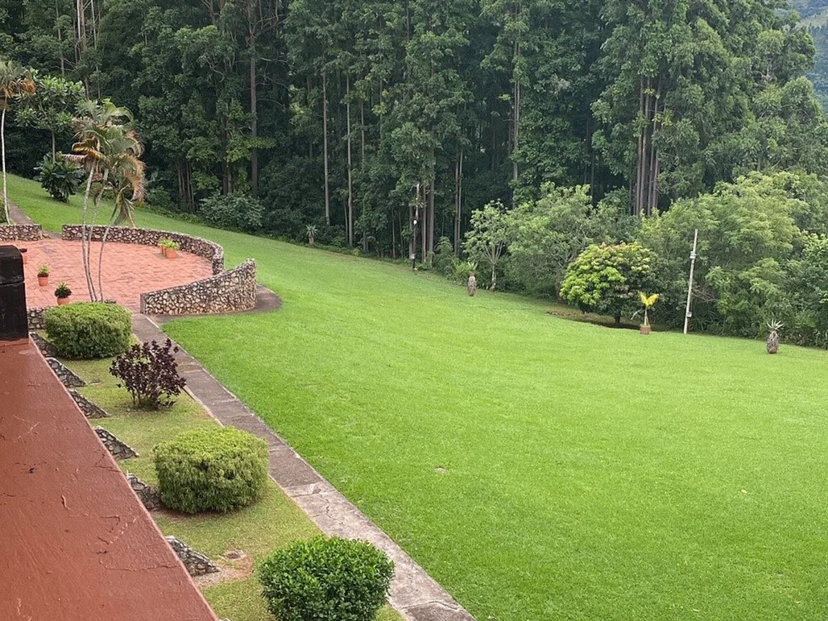 Forest views from deck at Piggs Peak Hotel & Casino Eswatini.