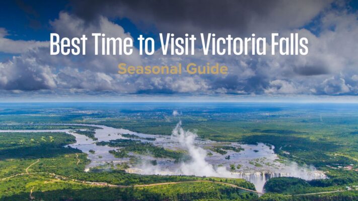 Aerial shot of lush green Victoria Fall in full flood