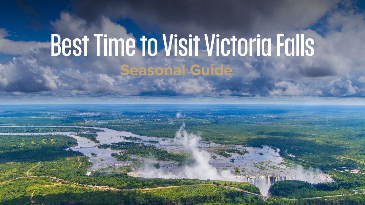 Aerial shot of lush green Victoria Fall in full flood